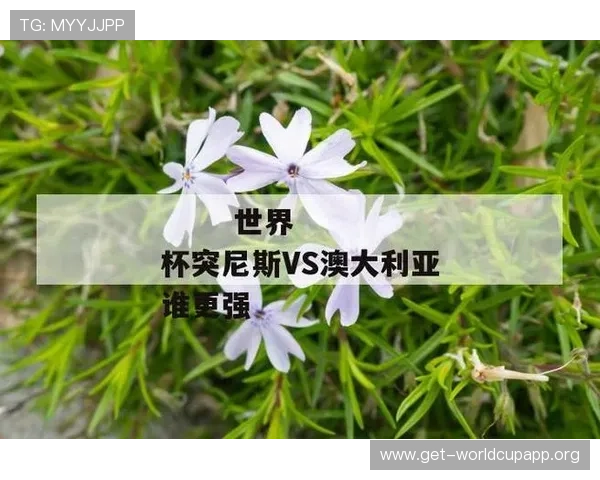 世界杯瑞典突尼斯比赛现场观赛门票预订流程与购票注意事项解析 世界杯瑞典突尼斯比赛现场观赛门票预订流程与购票注意事项解析